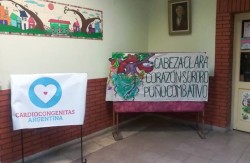 Luc&iacute;a Wajsman: "Solo Milei y Villaruel votaron en contra de la Ley de cardiopat&iacute;as cong&eacute;nitas"