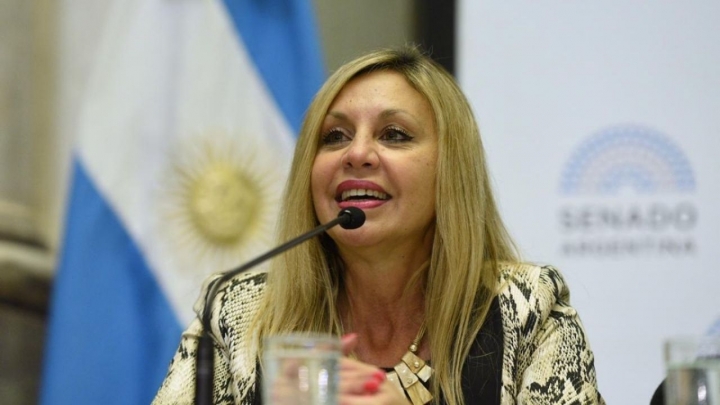 "Esta conducta permanente de judicializar la política no socava al gobierno de turno, sino a la política en general" María de los Angeles Sacnun