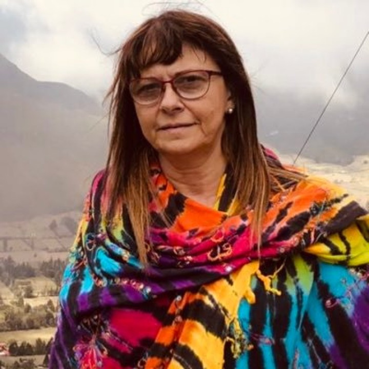 Nora Goren: "Me gustaría saber en qué planeta vive Milei"