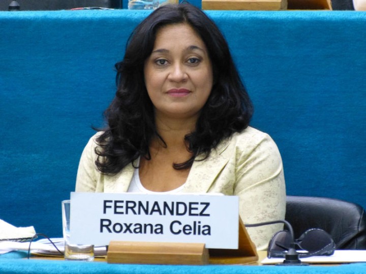 Roxana Fernandez: "Es pensar en configurar una ciudad completamente diferente".