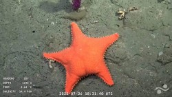 Mariano Mart&iacute;nez: "La gente est&aacute; interesada en ver contenido cient&iacute;fico"